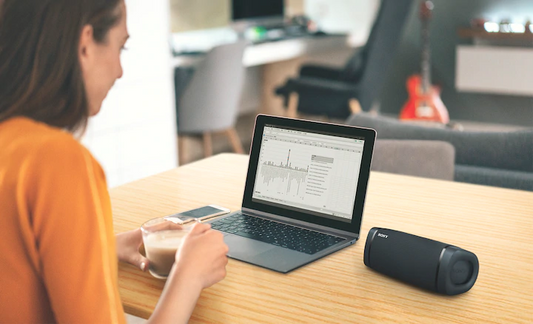 Sony Bluetooth Wireless Portable Speaker XB-33 - Loud N Clear