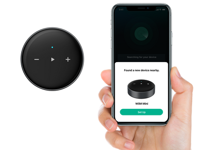 WiiM Mini - Network Audio Streamer