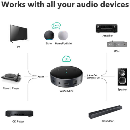 WiiM Mini - Network Audio Streamer