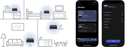 WiiM Pro - Network Audio Streamer