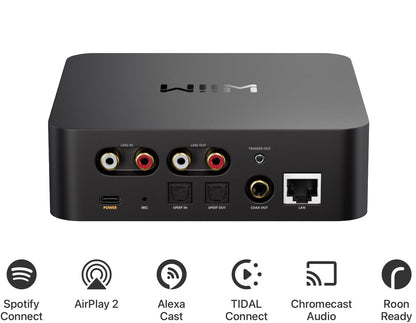 WiiM Pro - Network Audio Streamer