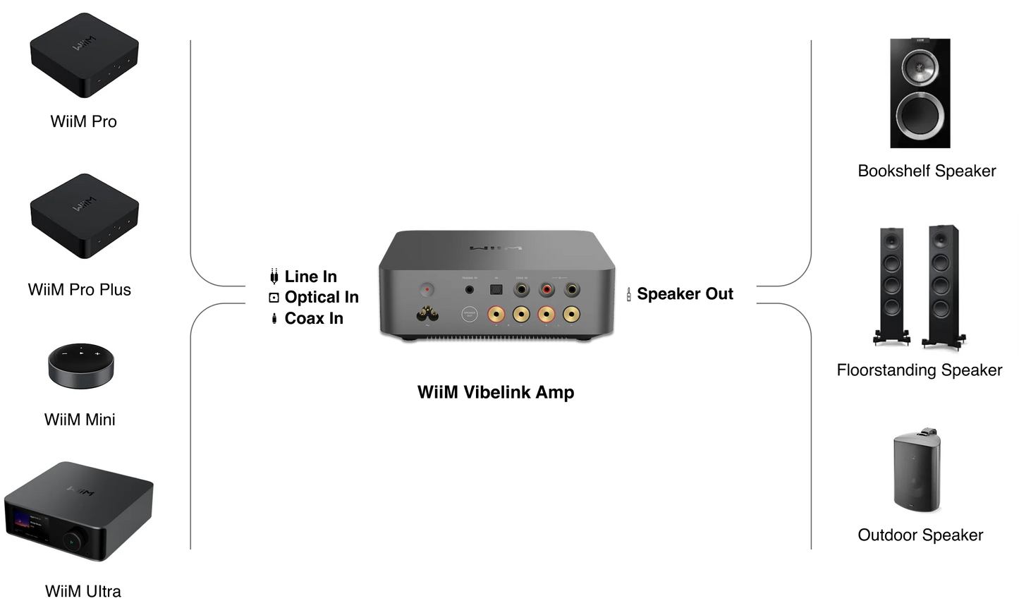 WiiM Vibelink Amp - Power Amplifier