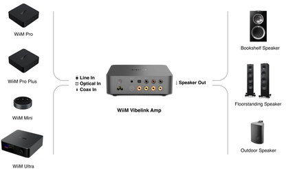 WiiM Vibelink Amp - Power Amplifier
